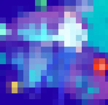 斗鱼tv